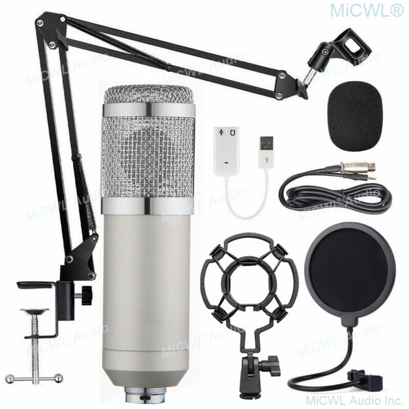 High-Technology Laptop PC Studio Recording Live Karaoke Condenser Microphone Gold Microfone Shock Mount Support