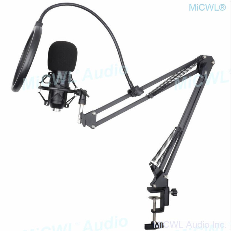 Professional Microfone BM 800 Studio Microphone BM-800 Condenser Sound Recording Microphone For Computer Shock Mount+Foam+Cable