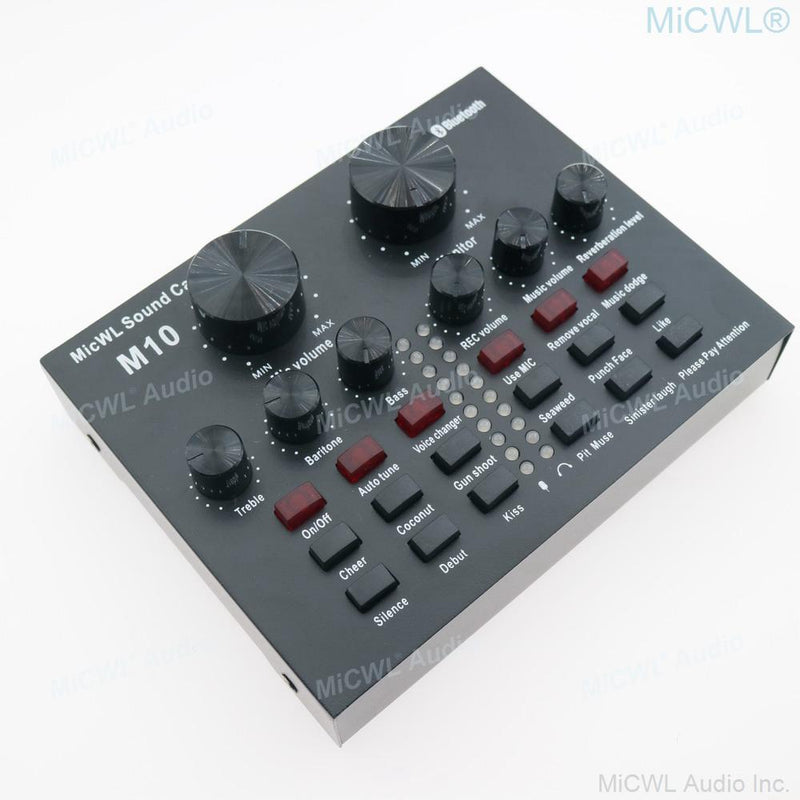 Pro Audio Live Sound Card Mixer for Condenser Dynamic Microphone PC Laptop Computer Network Karaoke Chat Sing