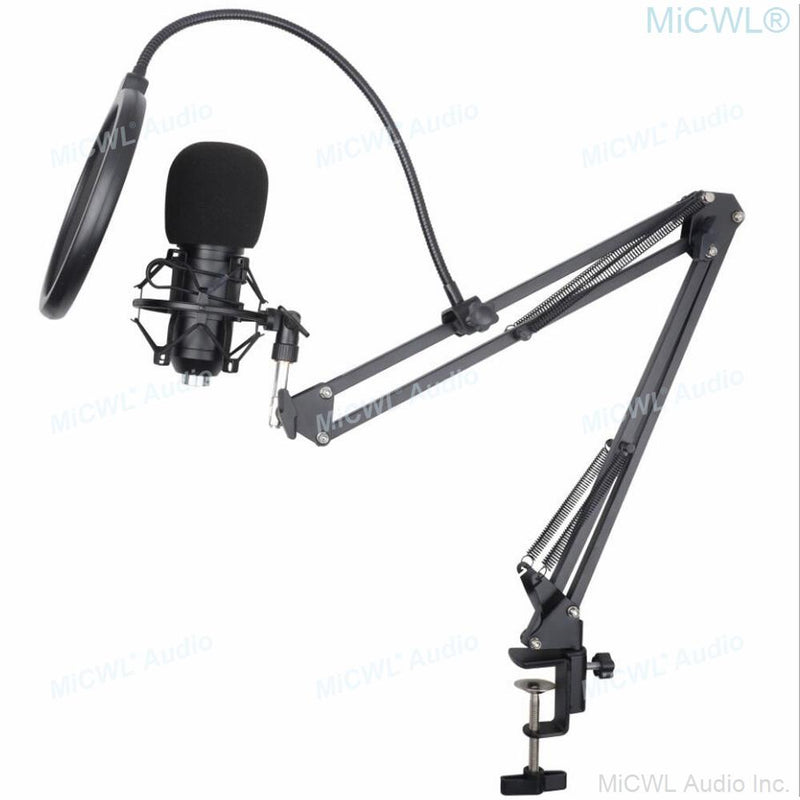 MiCWL X800 Network Live Karaoke PC Sing Studio Recording Microphone Condenser Mics Microfone with Shock Mount Desk Support Gold