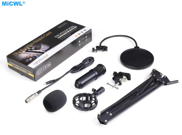 High-Technology Laptop PC Studio Recording Live Karaoke Condenser Microphone Gold Microfone Shock Mount Support