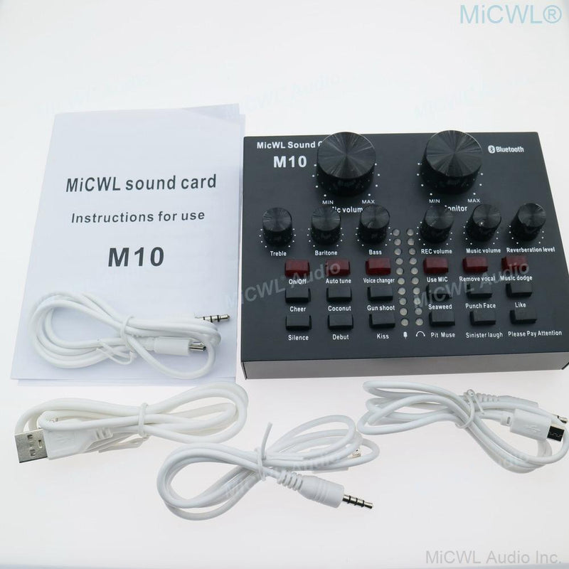 Pro Audio Live Sound Card Mixer for Condenser Dynamic Microphone PC Laptop Computer Network Karaoke Chat Sing