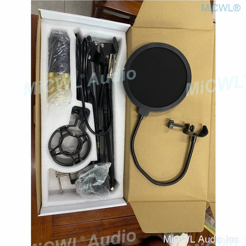 Professional Microfone BM 800 Studio Microphone BM-800 Condenser Sound Recording Microphone For Computer Shock Mount+Foam+Cable