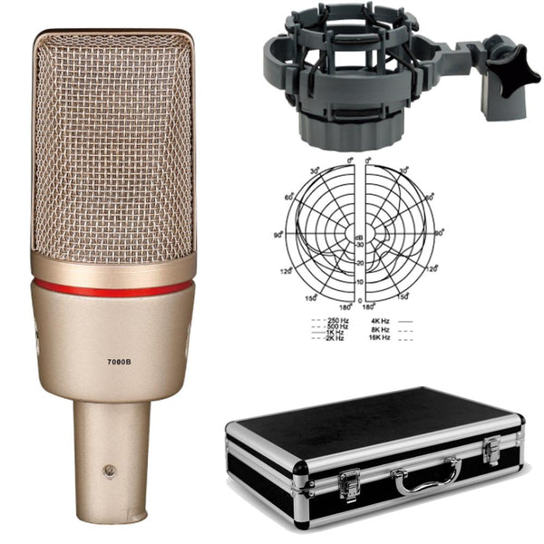 High Quality C7000 Large Diaphragm Super Cardioid Condenser Microphone For Stage Studio Live Recording Shock Mount Flight Case