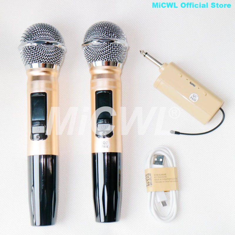 Portable Wireless 2 Handheld 2 Lavalier Karaoke Microphone System Rechargeable Radio Dual Channel Mics MiCWL TR2