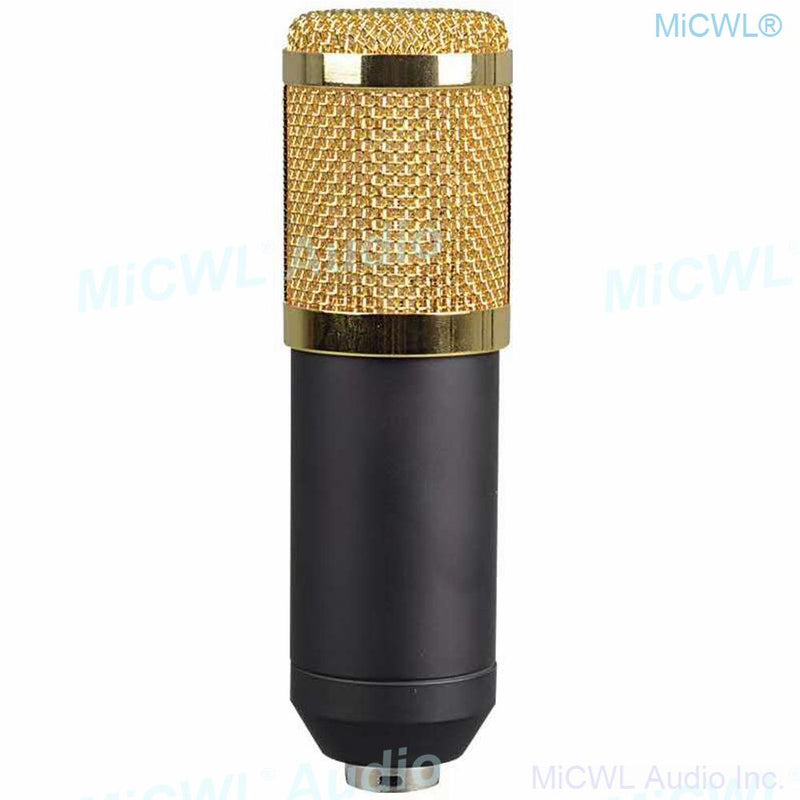 Professional Microfone BM 800 Studio Microphone BM-800 Condenser Sound Recording Microphone For Computer Shock Mount+Foam+Cable