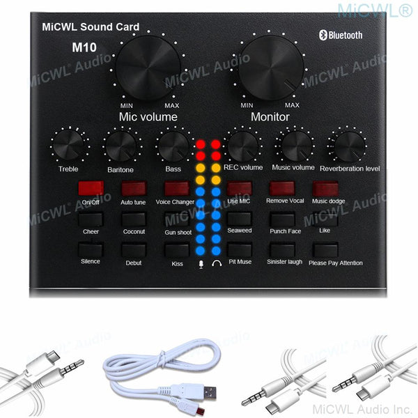 Pro Audio Live Sound Card Mixer for Condenser Dynamic Microphone PC Laptop Computer Network Karaoke Chat Sing