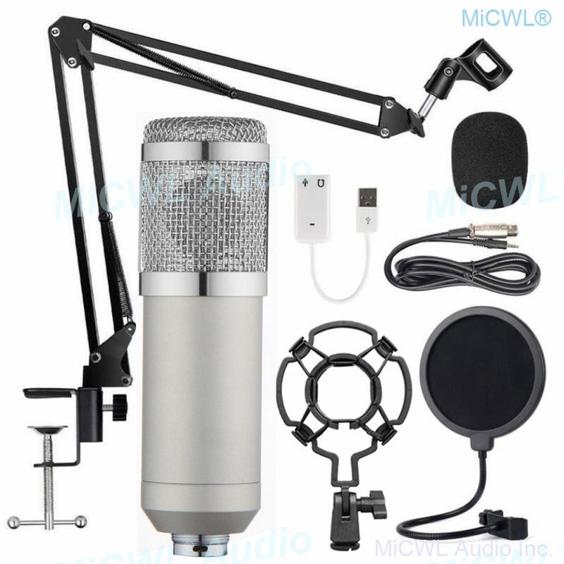 Professional Microfone BM 800 Studio Microphone BM-800 Condenser Sound Recording Microphone For Computer Shock Mount+Foam+Cable